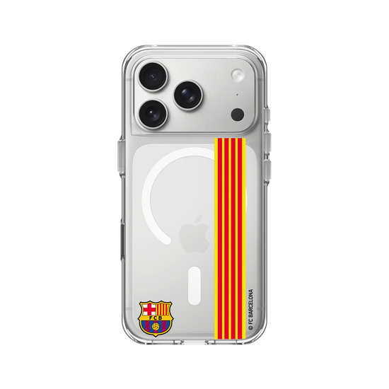 Orgullo Senyera