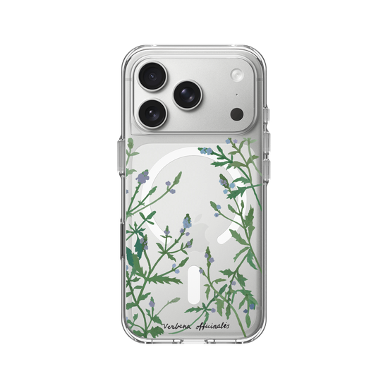 Verbena