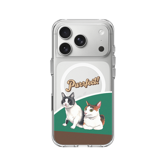 呼嚕好時光