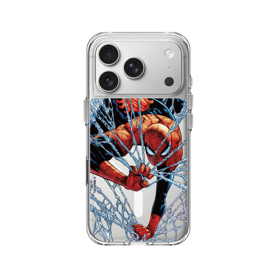 Spider-Man - On the net