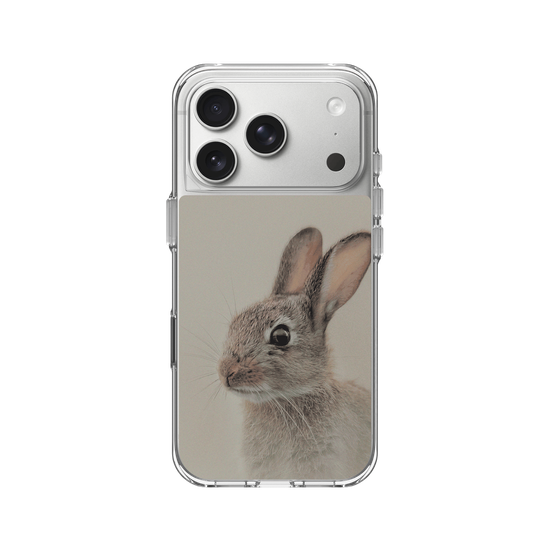 European rabbit