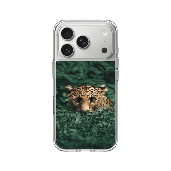Leopard in the Jungle