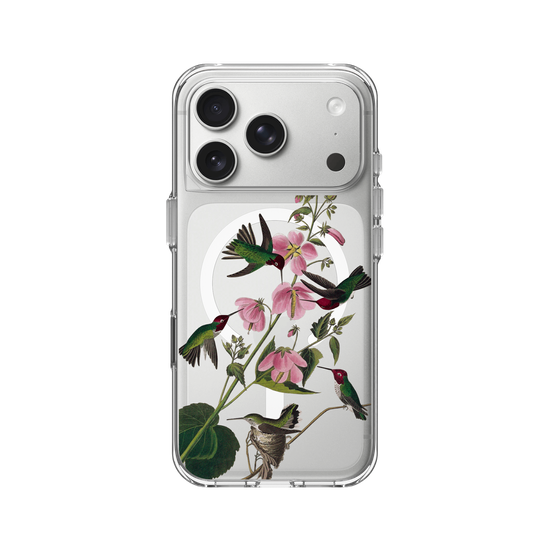 Vögel Amerikas – Kolumbianischer Kolibri