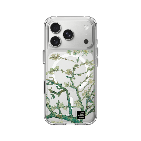 Almendro en Flor - Transparente