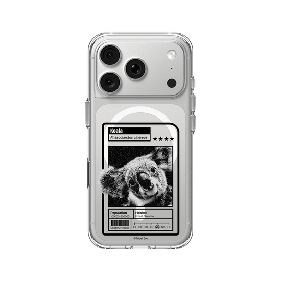 Koala – Limited Edition Card