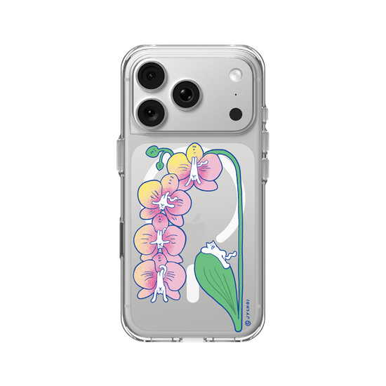 Catorchid