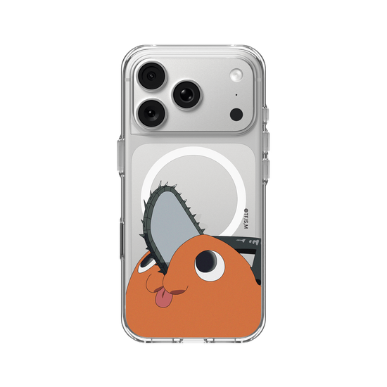 Pochita