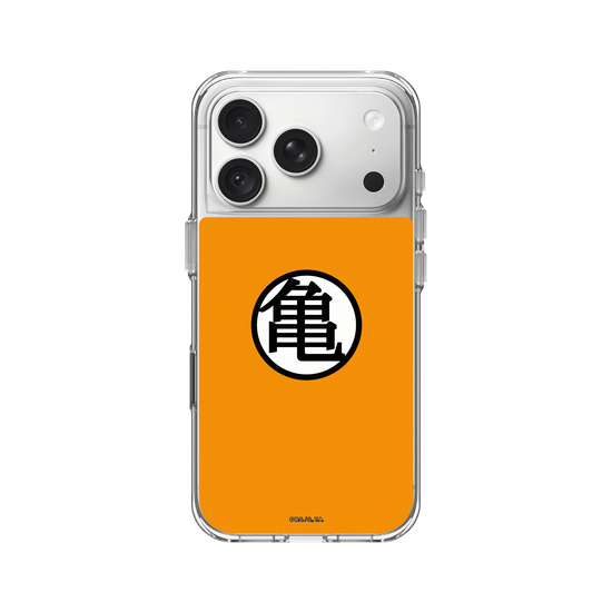 龜