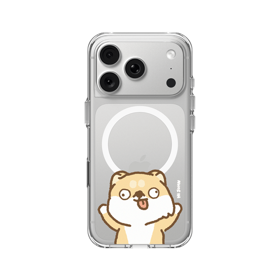 SHIBA