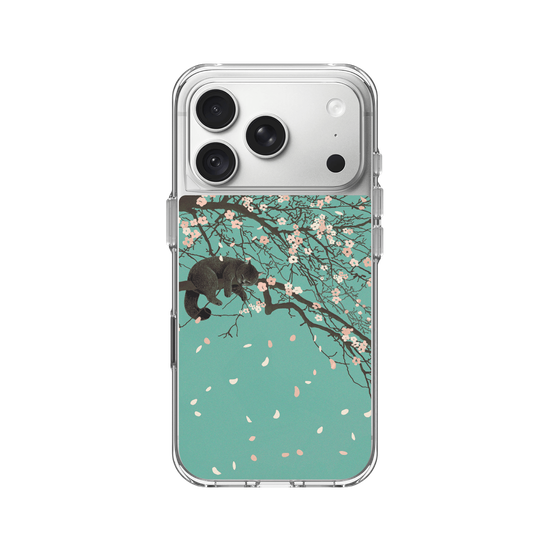 Cherry Blossom