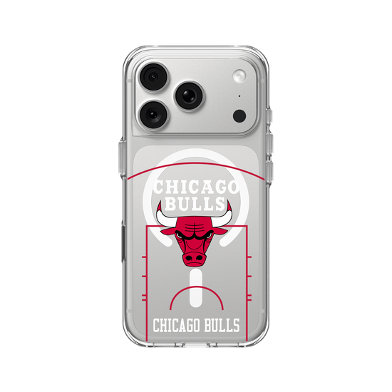 Chicago Bulls - Court