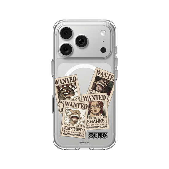 One Piece - Wanted Posters