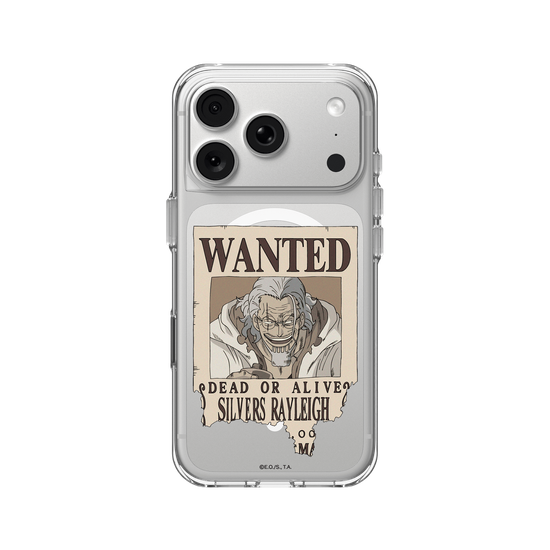 Silver Rayleigh - Wanted