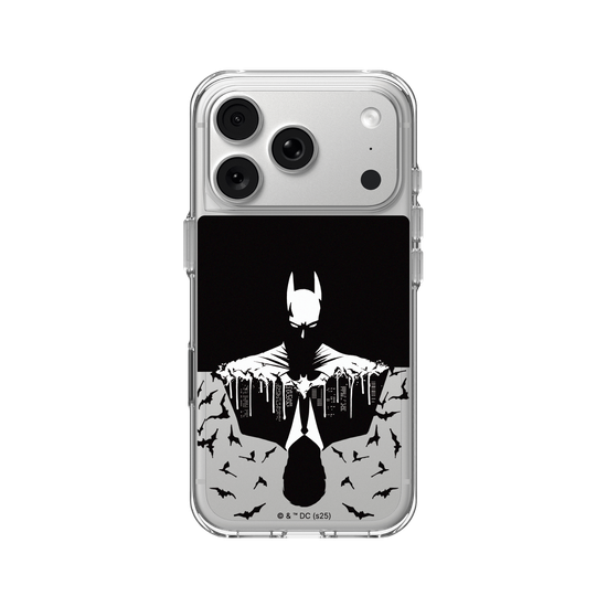 Batman - Bruce/Batman