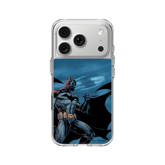 Batman - Bat in the night