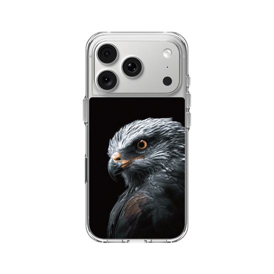 Black Kite