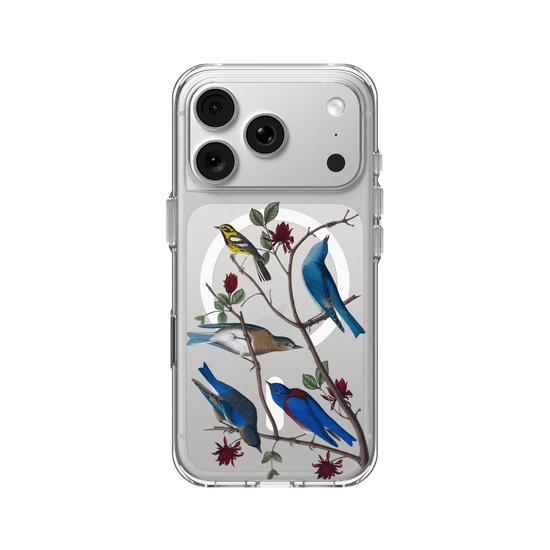 Birds of America - Townsend's Warbler & Blue Birds