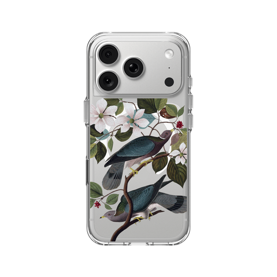 Birds of America - Band-Tailed Pigeon