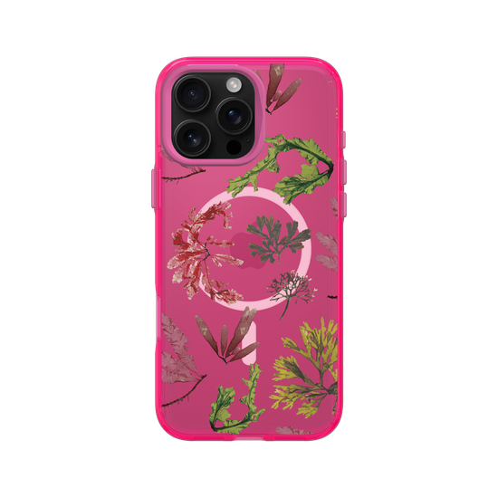 The Seaweed Studio | Oceanic Press | Clear - iPhone 16 Pro Max