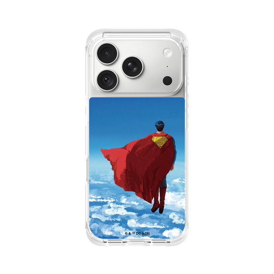 Superman - In The Skies