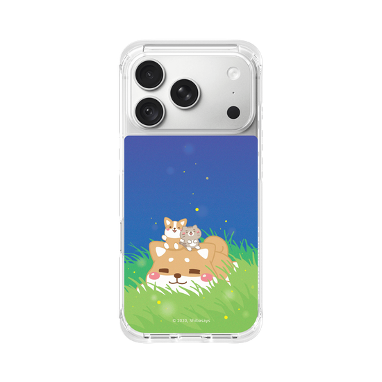 Shiba on the Field