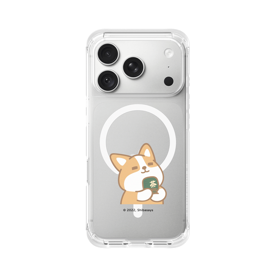 Corgi matcha
