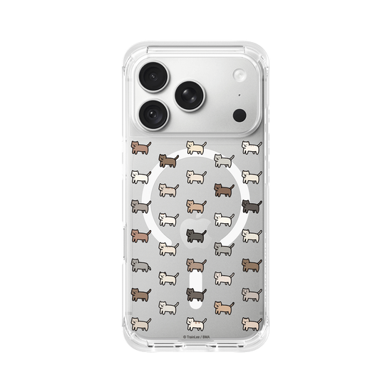 Little Cattos