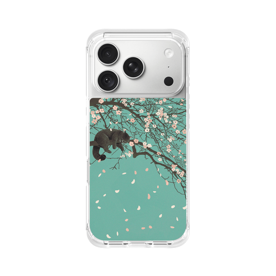 Cherry Blossom