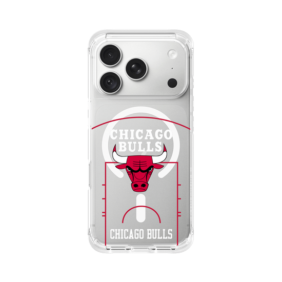 Chicago Bulls - Court
