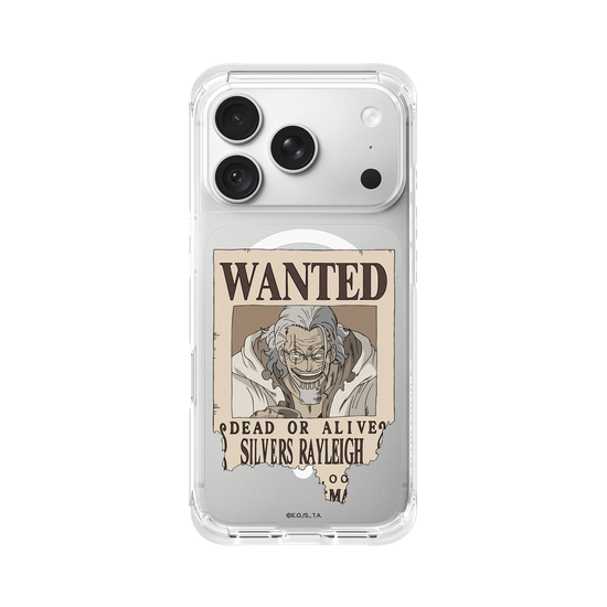 Silver Rayleigh - Wanted