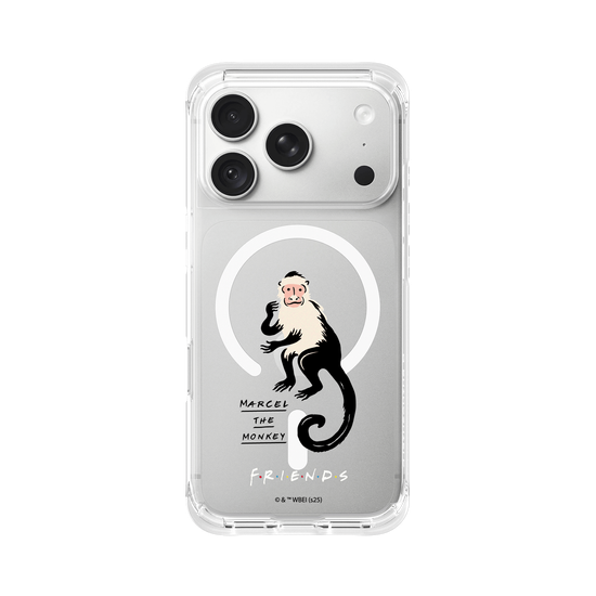 Marcel the monkey