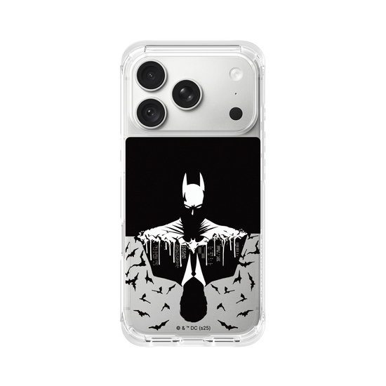 Batman - Bruce/Batman