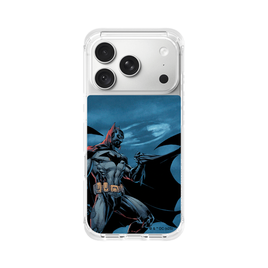 Batman - Bat in the night