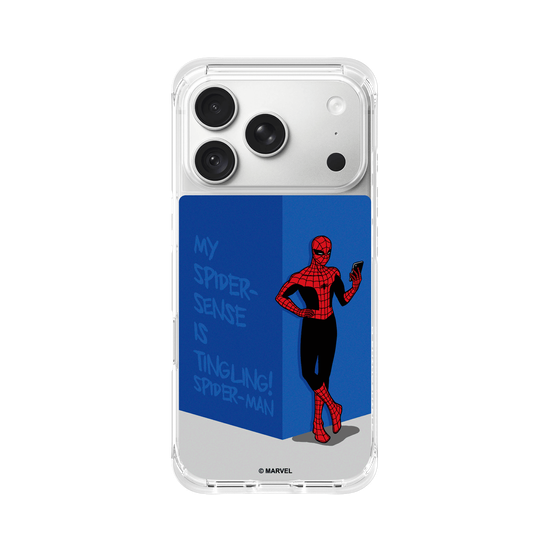Spider-Man – Spinnensinn