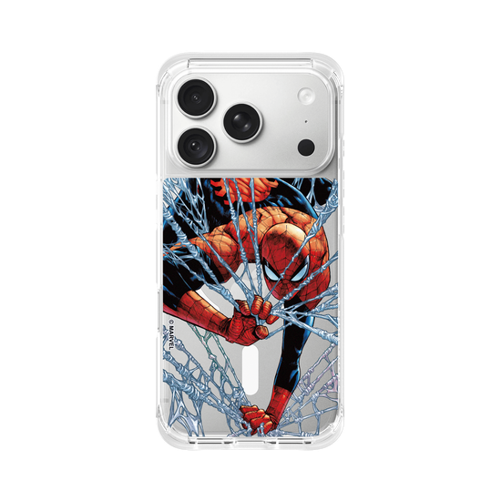 Spider-Man - Im Netz