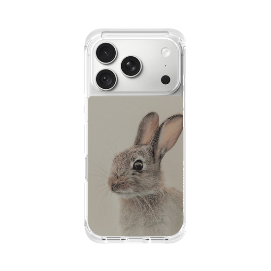 European rabbit