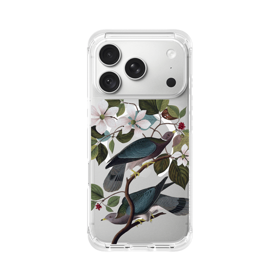 Birds of America - Band-Tailed Pigeon