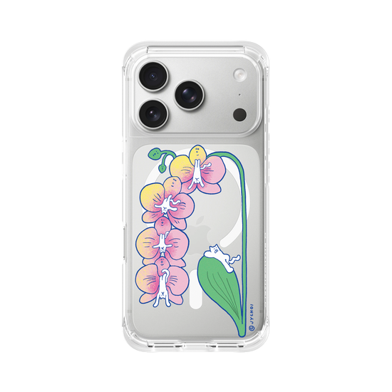 Catorchid