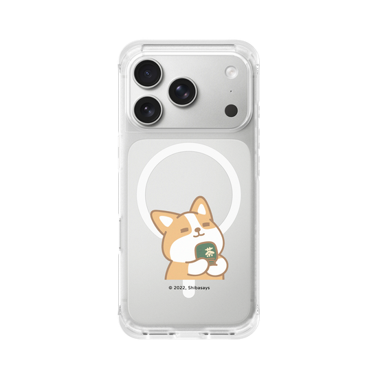 Corgi matcha