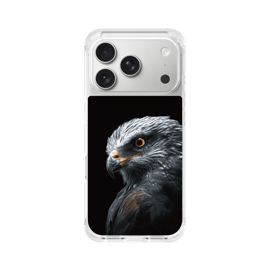 Black Kite