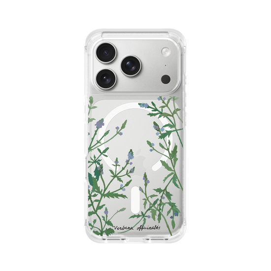 Verbena