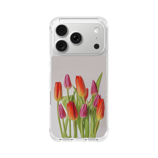 Tulips 鬱金香