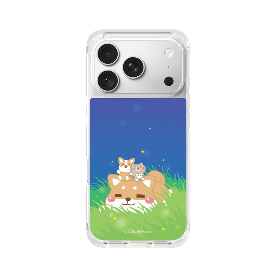 Shiba on the Field