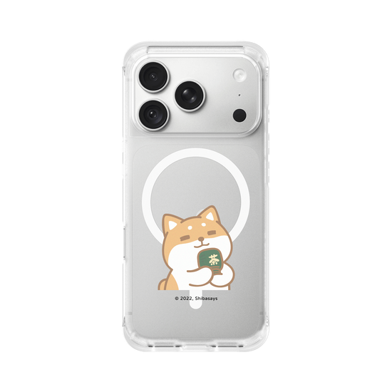 Shiba matcha