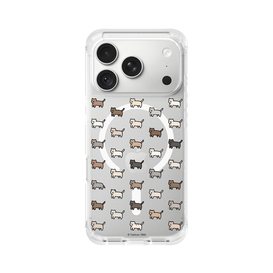 Little Cattos