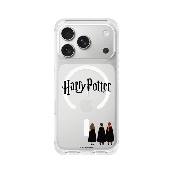 Harry Potter - Logo and heroes