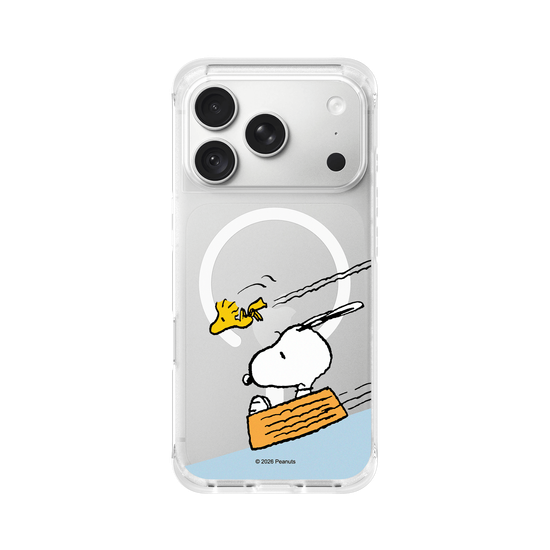 Snoopy Sliding