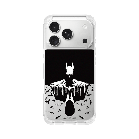 Batman - Bruce/Batman