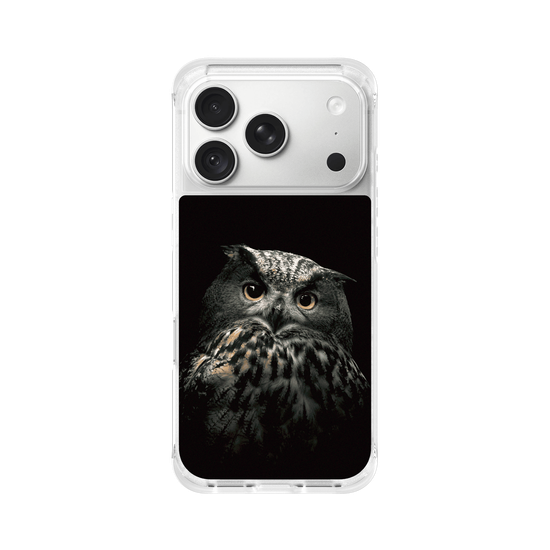 Eurasian Eagle-Owl