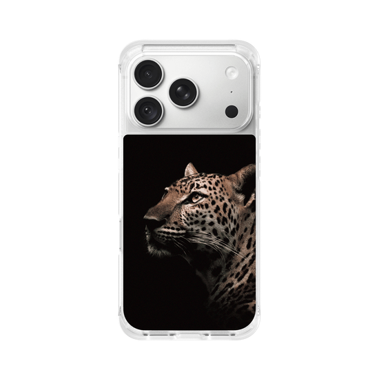 Indochinese Leopard